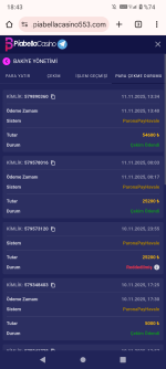 Screenshot_20251111-184343.png