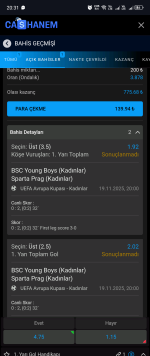 Screenshot_20251119-203129.png