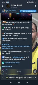 Screenshot_2025-11-23-23-49-46-271_org.telegram.messenger.jpg